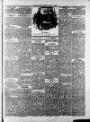 Royston Weekly News Saturday 20 April 1889 Page 7
