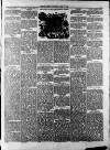 Royston Weekly News Saturday 08 June 1889 Page 7