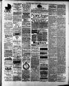 Rugeley Mercury Friday 08 March 1889 Page 3