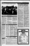 Blairgowrie Advertiser Thursday 17 June 1993 Page 13