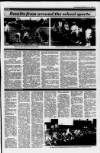 Blairgowrie Advertiser Thursday 17 June 1993 Page 15