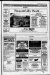 Blairgowrie Advertiser Thursday 17 June 1993 Page 17