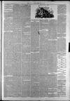 Bridge of Allan Gazette Saturday 21 March 1885 Page 3