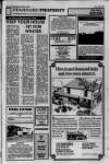 Dumfries and Galloway Standard Friday 03 October 1986 Page 37