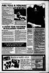 Dumfries and Galloway Standard Wednesday 13 January 1993 Page 11