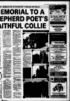 Dumfries and Galloway Standard Friday 12 February 1993 Page 53