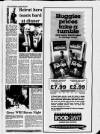 Dumfries and Galloway Standard Friday 26 January 1996 Page 11