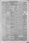 Hanwell Gazette and Brentford Observer Saturday 12 November 1898 Page 7