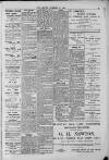 Hanwell Gazette and Brentford Observer Saturday 31 December 1898 Page 3