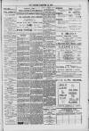 Hanwell Gazette and Brentford Observer Saturday 10 February 1900 Page 7
