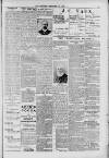 Hanwell Gazette and Brentford Observer Saturday 17 February 1900 Page 3