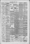 Hanwell Gazette and Brentford Observer Saturday 03 March 1900 Page 7