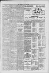 Hanwell Gazette and Brentford Observer Saturday 23 June 1900 Page 7