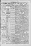 Hanwell Gazette and Brentford Observer Saturday 21 July 1900 Page 5