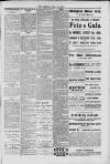 Hanwell Gazette and Brentford Observer Saturday 28 July 1900 Page 7