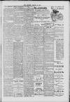 Hanwell Gazette and Brentford Observer Saturday 11 August 1900 Page 3