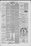 Hanwell Gazette and Brentford Observer Saturday 11 August 1900 Page 7