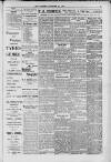 Hanwell Gazette and Brentford Observer Saturday 22 December 1900 Page 5