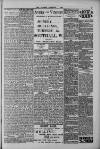 Hanwell Gazette and Brentford Observer Saturday 01 February 1902 Page 3