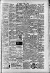 Hanwell Gazette and Brentford Observer Saturday 05 March 1904 Page 3