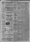 Hanwell Gazette and Brentford Observer Saturday 26 February 1910 Page 5