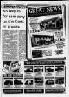 Stafford Post Thursday 30 September 1993 Page 29