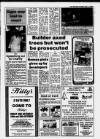 Sleaford Target Wednesday 27 October 1993 Page 3