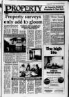 Great Barr Observer Friday 18 October 1991 Page 17
