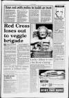 Feltham Chronicle Thursday 25 July 1996 Page 11