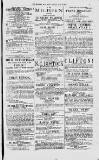 Magnet (Leeds) Saturday 03 April 1875 Page 3