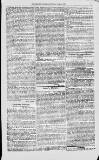 Magnet (Leeds) Saturday 03 April 1875 Page 9