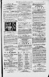 Magnet (Leeds) Saturday 10 April 1875 Page 13