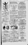 Magnet (Leeds) Saturday 10 April 1875 Page 15