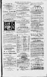 Magnet (Leeds) Saturday 24 April 1875 Page 13