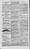 Magnet (Leeds) Saturday 15 May 1875 Page 8