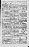 Magnet (Leeds) Saturday 15 May 1875 Page 9