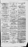 Magnet (Leeds) Saturday 29 May 1875 Page 3
