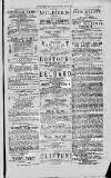 Magnet (Leeds) Saturday 05 June 1875 Page 3