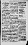 Magnet (Leeds) Saturday 05 June 1875 Page 5