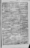 Magnet (Leeds) Saturday 05 June 1875 Page 9