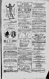 Magnet (Leeds) Saturday 05 June 1875 Page 15