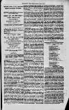 Magnet (Leeds) Saturday 12 June 1875 Page 5