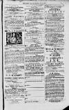Magnet (Leeds) Saturday 12 June 1875 Page 13