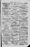Magnet (Leeds) Saturday 19 June 1875 Page 3