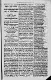Magnet (Leeds) Saturday 19 June 1875 Page 5