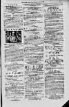 Magnet (Leeds) Saturday 19 June 1875 Page 13