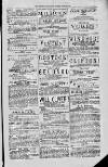 Magnet (Leeds) Saturday 26 June 1875 Page 3