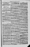 Magnet (Leeds) Saturday 26 June 1875 Page 5