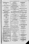 Magnet (Leeds) Saturday 26 June 1875 Page 11