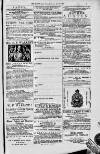 Magnet (Leeds) Saturday 26 June 1875 Page 13